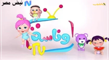 ضبط سهل وسريع.. تردد قناة وناسة 2025 وطريقة استقباله خطوة بخطوة 1